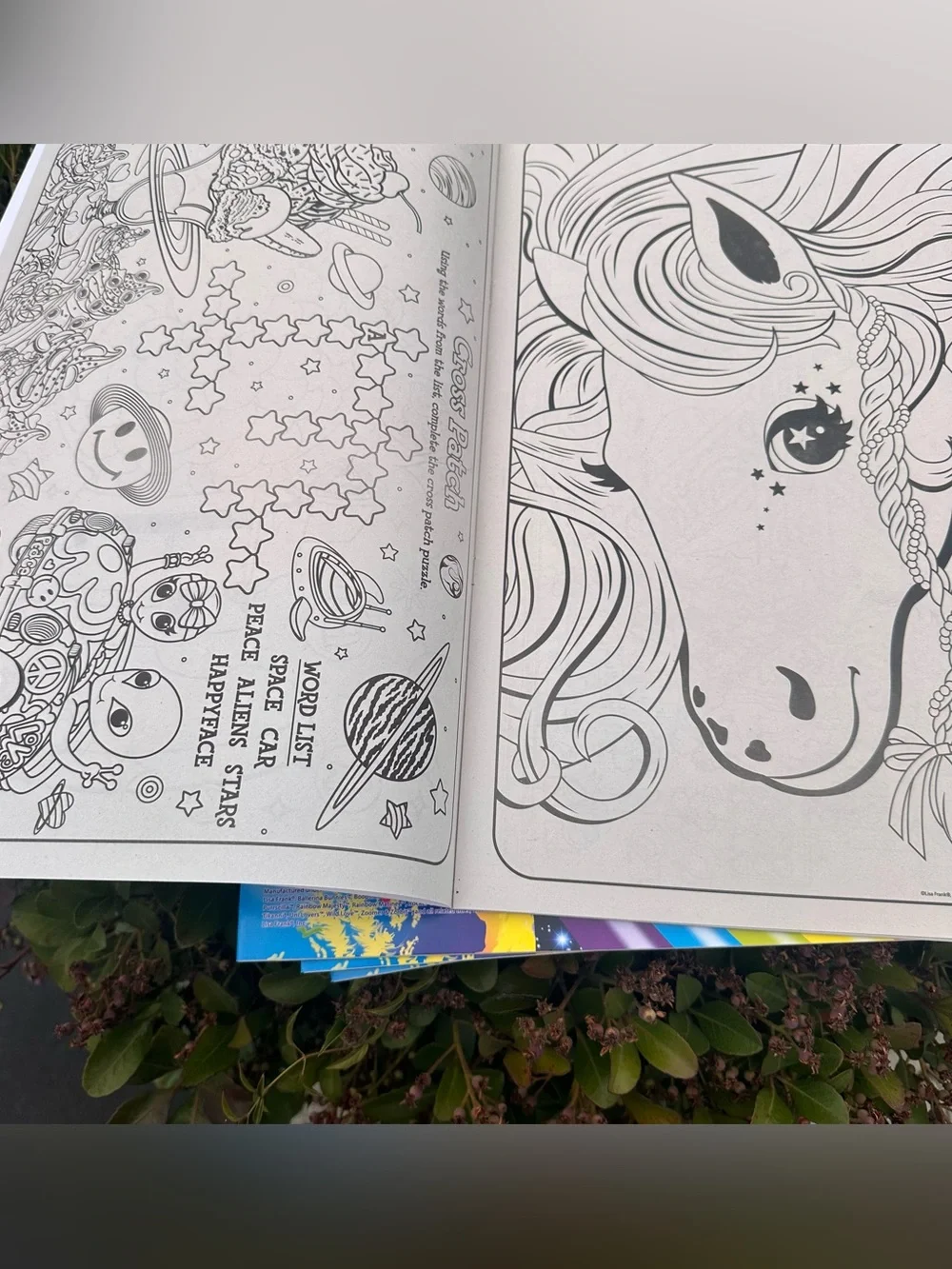 Lisa Frank Giant Color & Activity Book - Multicolor